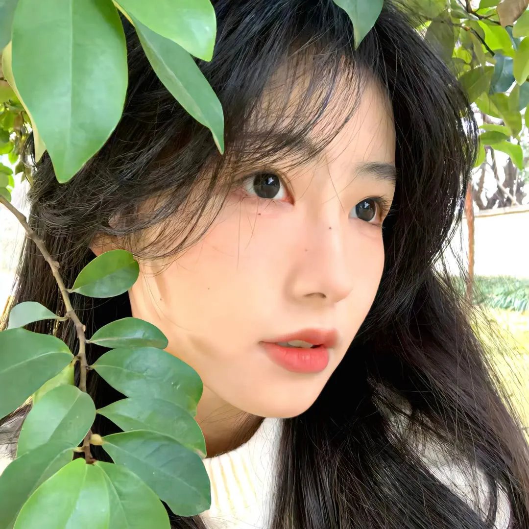 后宫凌云传